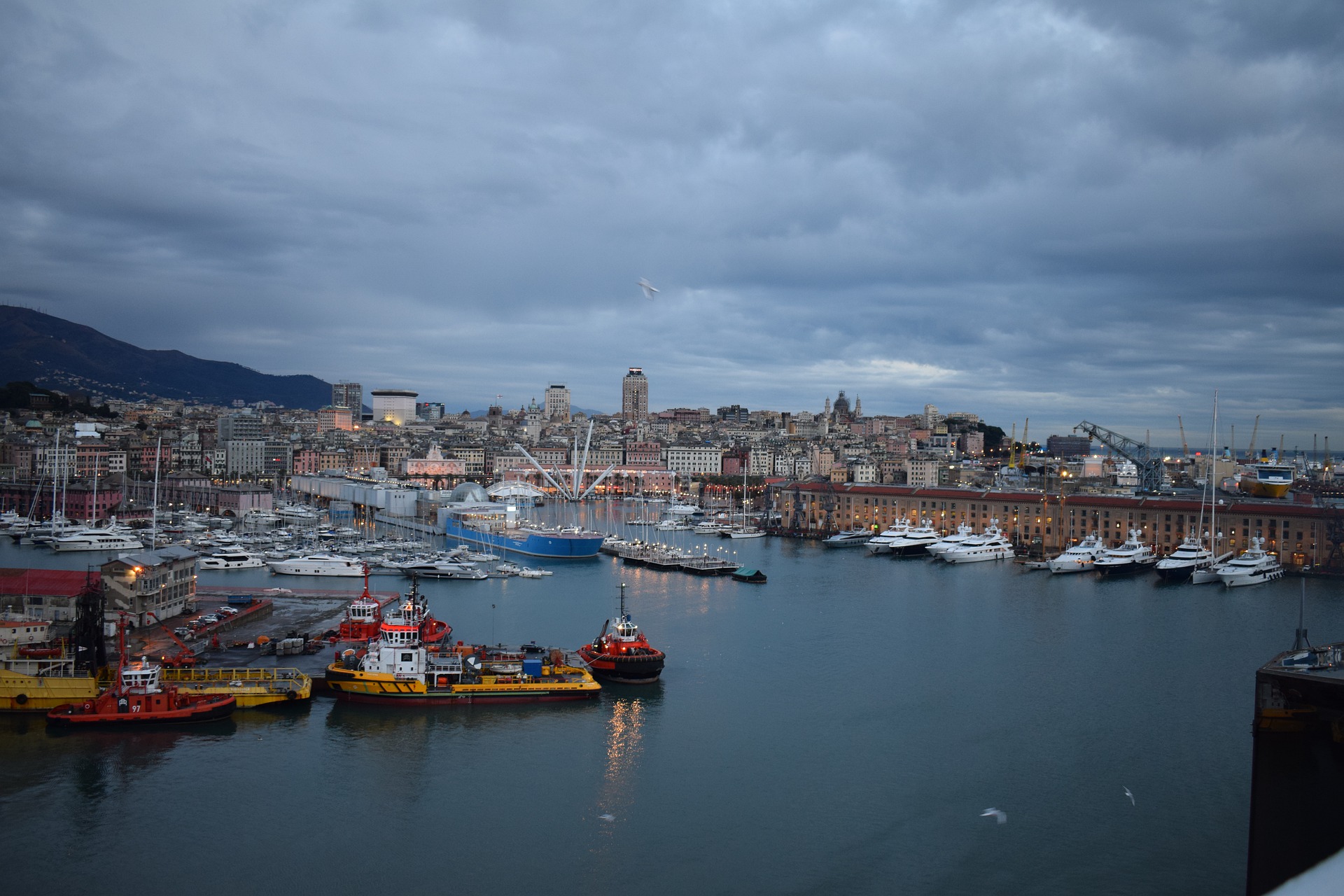 Decreto Genova - Ristoro imprese autotrasporto 2018