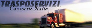 Visita il sito